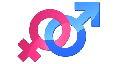 Promo&ccedil;&atilde;o da Igualdade de G&eacute;nero